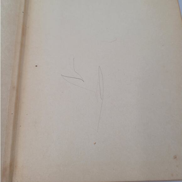 Tortilla Flat John Steinbeck Vintage Hardcover Literary Classic Book Lover Find - Picture 7 of 13